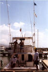 Liara - 4 Whites, 2 Sails - Venezuela